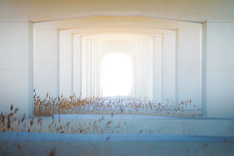 bridge-4456255.jpg